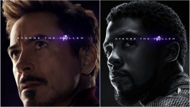 Avengers: Endgame New Character Posters Reveal Who Survived Thanos' Snap and Who Didn't - View Pics!