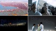 Brahmastra Magic At Kumbh 2019:  Skies Light Up With The Logo Of Ranbir Kapoor and Alia Bhatt Starrer (Watch Video)
