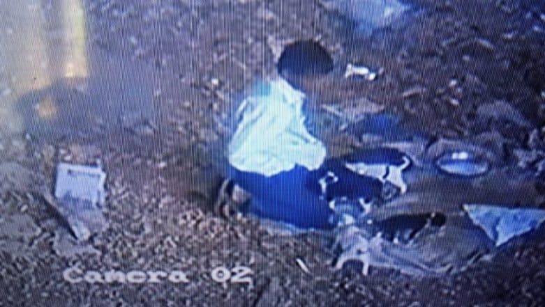 Chennai Shocker: Man Allegedly Sexually Assaults 15-Day-Old Puppies, Caught on CCTV Camera Chennai Shocker: Man Allegedly Sexually Assaults 15-Day-Old Puppies, Caught on CCTV Camera
