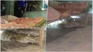 Gujarat Farmer Finds 8-Foot Long Crocodile Under His Bed, View Scary Pics!