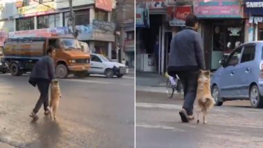 Dog Holds His Owner's Hand While Crossing The Street in Nepal, Watch Cute Video Going Viral