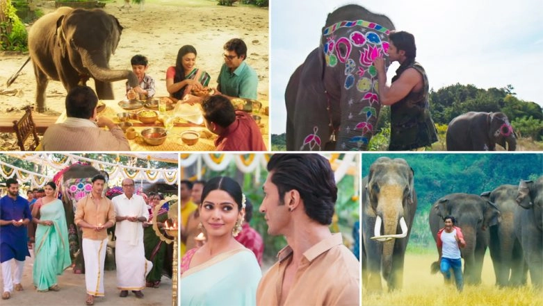 Junglee Song Fakeera Ghar Aaja Jubin Nautiyal S Soothing Voice Makes This Vidyut Jamwal And Pooja Sawant Number A Soulful Melody Watch Video Latestly junglee song fakeera ghar aaja jubin