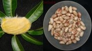 Fruit Seeds Health Benefits: Mango, Jamun, Jackfruit+ 3 Other Kernels That Are Super Nutritional!
