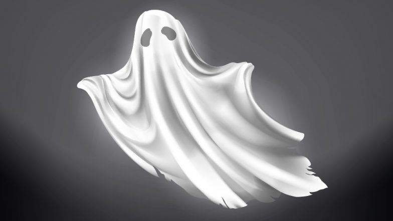 Haunted House! Ghost Seen on Camera Inside Michigan Couple's Home (Watch Scary Video)