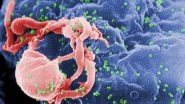 Second Man Goes into HIV Remission post Stem Cell Therapy