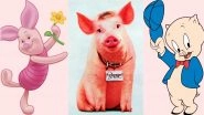 Happy National Pig Day 2019: Piglet From Winnie-the-Pooh to Porky Pig to Babe, 8 Adorable Pop Culture Pigs