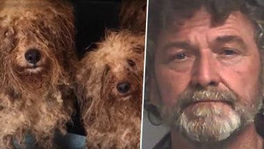 Georgia Puppy Mill Operator Arrested for Keeping 700 Dogs in ‘Horrific Conditions’, Arrested on Animal Cruelty Charges