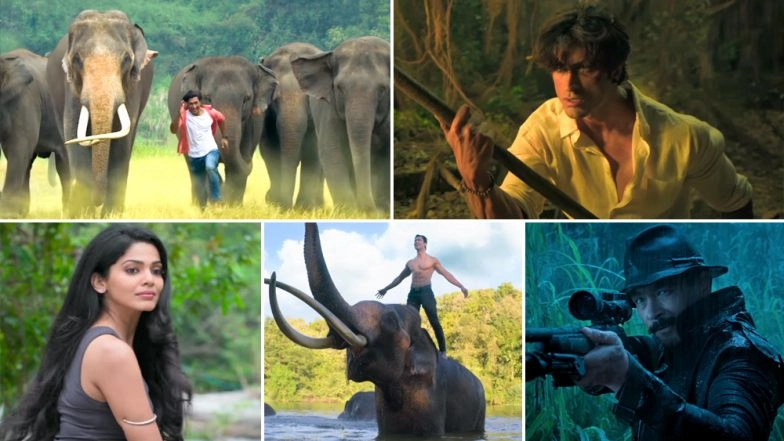 Junglee Box Office Collection Day 7: Vidyut Jammwal Starrer Does Well in Mass Circuits, Rakes in Rs 21.20 Crore