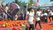 'La Tomatina' Holi in Ahmedabad Has Left People Fuming at The Wastage, Check Tweets