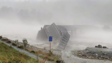 Dramatic Video of New Zealand's Waiho Bridge Twisting and Falling Into River During Heavy Rains Goes Viral