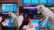 Man in China Trains Pet Dog to 'Supervise' His Daughter Doing Homework, Adorable Video Goes Viral