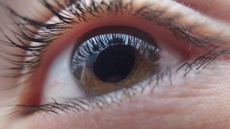 Prevention of Blindness Week 2019: All You Should Know About This Indian Government Initiative for the Blind