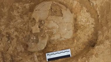 5000-Year-Old Human Skeleton Excavated in Kutch, Archaeologists Find New Burial Site of Harappan Civilization (Watch Video)