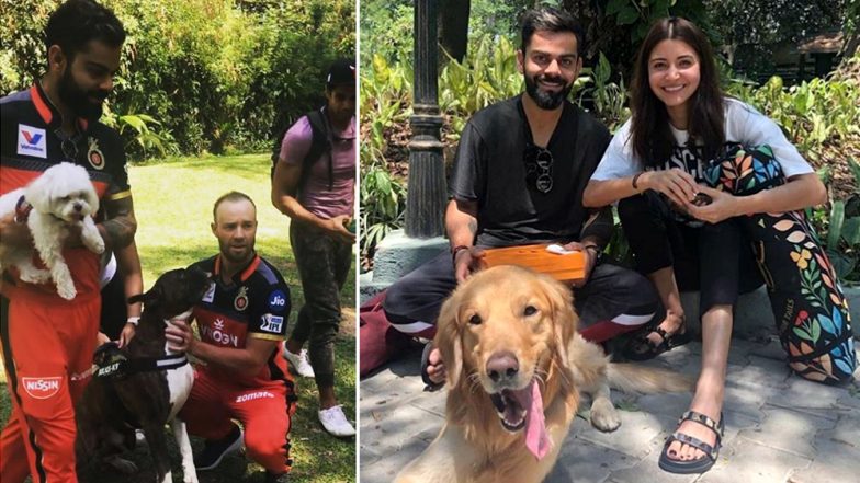 VIVO IPL 2019: Virat Kohli, Anushka Sharma and AB de Villiers Have a Fun Time Playing With Puppies! See Cute Pics