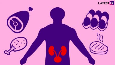 World Kidney Day 2019: Can Too Much Protein Damage Your Kidneys?