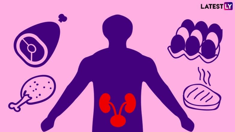 World Kidney Day 2019: Can Too Much Protein Damage Your Kidneys? World Kidney Day 2019: Can Too Much Protein Damage Your Kidneys?