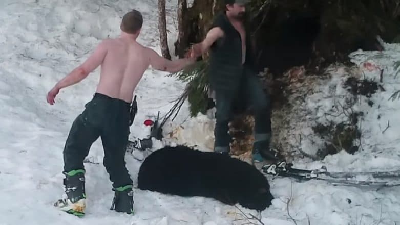 Alaska Bear and Her Cubs Killed by Father and Son in Viral Video Alaska Bear and Her Cubs Killed by Father and Son in Viral Video