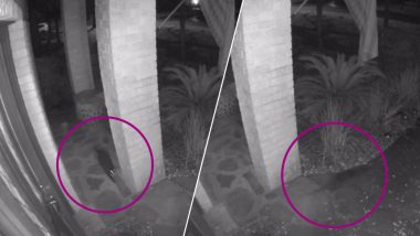 ‘Ghostly’ Black Cat Vanishes Into Thin Air at Night; Surveillance Camera Captures Spooky Incident (Watch Video)
