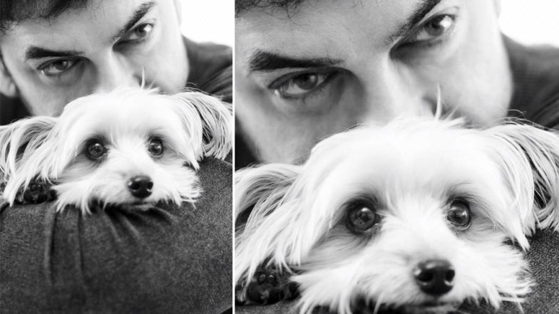 Aamir Khan’s Imli May Not Be Tangy, but Definitely Winning Hearts for Sweetness Overload!