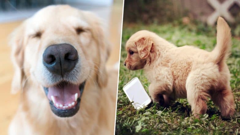 Instagram Celebrates Anniversary of First Picture Taken 9 Years Ago When Kevin Systrom Posted His DogтАЩs Pic Instagram Celebrates Anniversary of First Picture Taken 9 Years Ago When Kevin Systrom Posted His DogтАЩs Pic