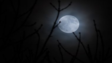 Full Worm Supermoon 2019: Know About the Last Supermoon of This Year on March 20