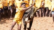 Jallikattu 2020: 30 Participants Injured During Bull-Taming Sport in Tamil Nadu&rsquo;s Palamedu