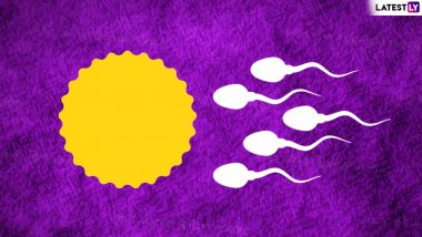 Sexual and Reproductive Health Awareness Day 2020: Fertility-Boosting Foods to Improve Female Egg Quality and Sperm Health in Men