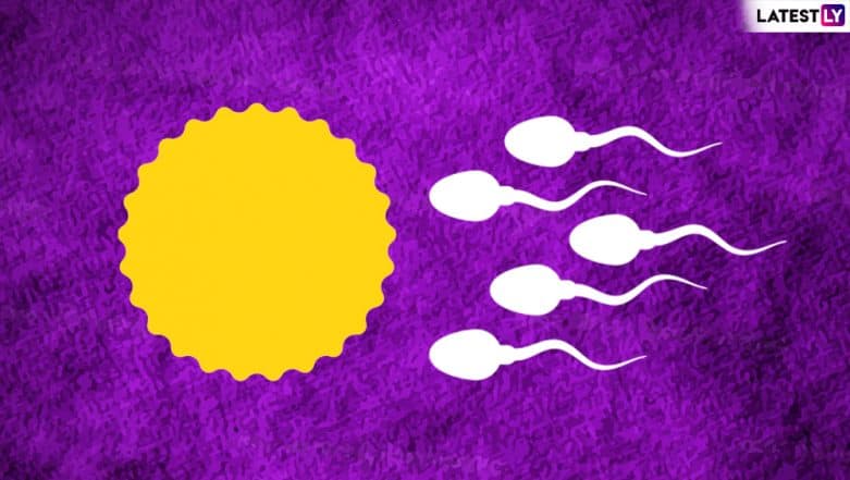 How to Increase Sperm Count with Diet: 10 Best Foods to Improve Men's Fertility and Sex Drive How to Increase Sperm Count with Diet: 10 Best Foods to Improve Men's Fertility and Sex Drive