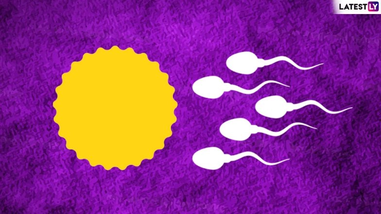 How to Increase Sperm Count with Diet: 10 Best Foods to Improve Men's Fertility and Sex Drive