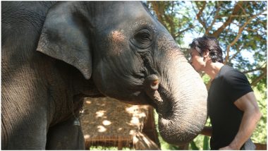 Junglee: Not Vidyut Jammwal, the Elephants Were the Real Stars of the Shoot!
