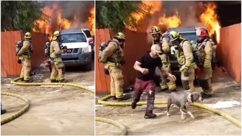California Man Risks Life To Saves His Dog Trapped Inside Burning House; Dramatic Fire Rescue Video Goes Viral California Man Risks Life To Saves His Dog Trapped Inside Burning House; Dramatic Fire Rescue Video Goes Viral