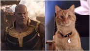 Captain Marvel: Goose the Cat Will Defeat Thanos in Avengers: EndGame, Say Fans After Watching Brie Larson&rsquo;s Superhero Film &ndash; Read Tweets