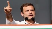 Rahul Gandhi Blames PM Modi For 'Dividing India', CWC Resolves to Defeat Saffron Forces in Lok Sabha Elections 2019