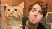 YouTube Star Shane Dawson Apologises for Joking about Having Sex with His Cat