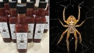 Hot Sauce With Spider Venom! British Scientists Create First-of-a-Kind Spicy Condiment That Stings Like a Spider Bite
