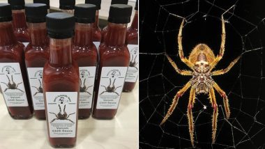 Hot Sauce With Spider Venom! British Scientists Create First-of-a-Kind Spicy Condiment That Stings Like a Spider Bite
