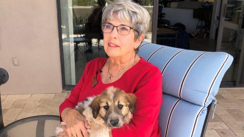 12-Week-Old Puppy 'Latte' Rescued After Being Picked Up By An Owl From His Foster Human's Backyard!