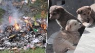 Punjab Shocker: Four Puppies Burnt Alive In Bid To Clean Plot In Jalandhar