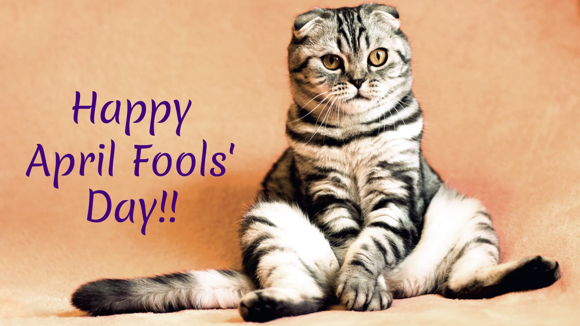 April Fools Day Images Funny Jokes Download For Free Online Best Whatsapp Stickers New Prank Gif Videos To Wish Happy April Fools Day 2019 Latestly