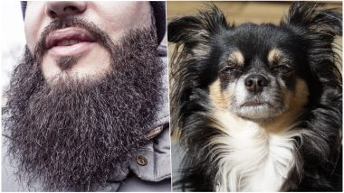 Clean Shaven or Beard Look? Study Claims Men With Beard Have MORE Germs Than Dog's Fur