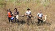 Biggest Python Ever! Snake Hunters Catch 17-Foot Pregnant Female Carrying 73 Eggs From Florida Everglades, View Pic