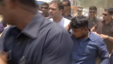 Accident During Rahul Gandhi's Roadshow in Wayanad, Congress Chief And Priyanka Gandhi Help Injured Journalists