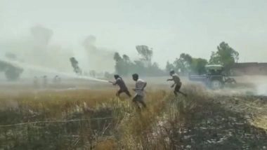Punjab: Wheat Crop on 1500 And 200 Acres Gutted in Fire in Jalandhar & Moga