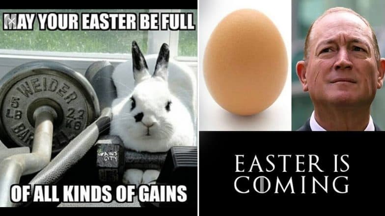 Happy Easter 2019 Check Out These Funny Bunny Memes That Will.