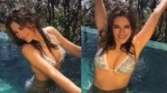 Elizabeth Hurley Takes A Bath In A Sexy Bikini: This Hot VIDEO of Shane Warne's Ex-Girlfriend Gets Dangerously Delicious Reactions!
