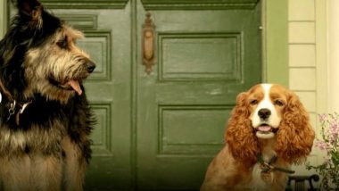 First Look Of Disney's Live-Action Lady And The Tramp Starring Tessa Thompson And Justin Theroux Is Adorable!