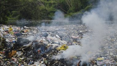 Bombay High Court Allows Dumping of Solid Waste at Deonar Ground Till December 31