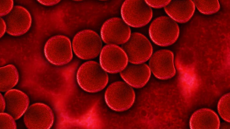 World Hemophilia Day 2019: Theme, History and Significance of the Day for Haemophilia Awareness