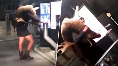 New Zealand Hunter Goes to McDonald's With a Dead Deer on His Shoulders, Bizarre Video Goes Viral