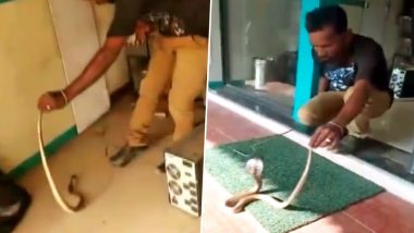 Snake Found Inside ATM in Coimbatore, Rescued - Watch Video